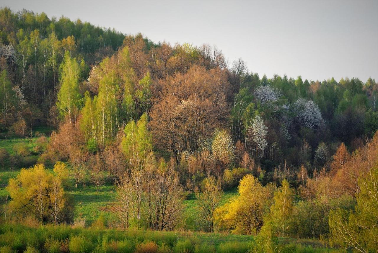 Przytulne Studio Borowkowy Zagajnik Piechowice  Bagian luar foto