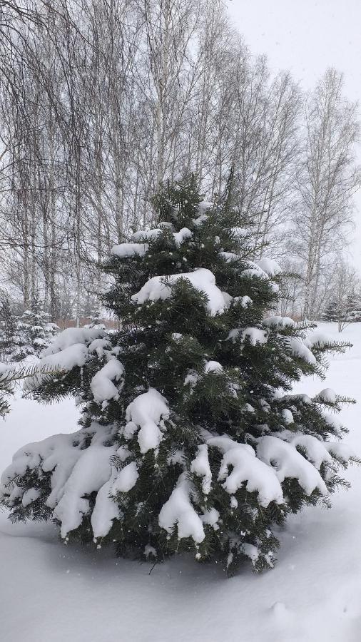 Przytulne Studio Borowkowy Zagajnik Piechowice  Bagian luar foto
