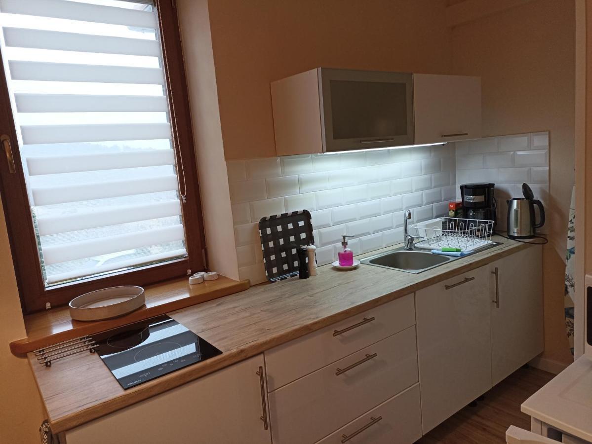 Przytulne Studio Borowkowy Zagajnik Piechowice  Bagian luar foto