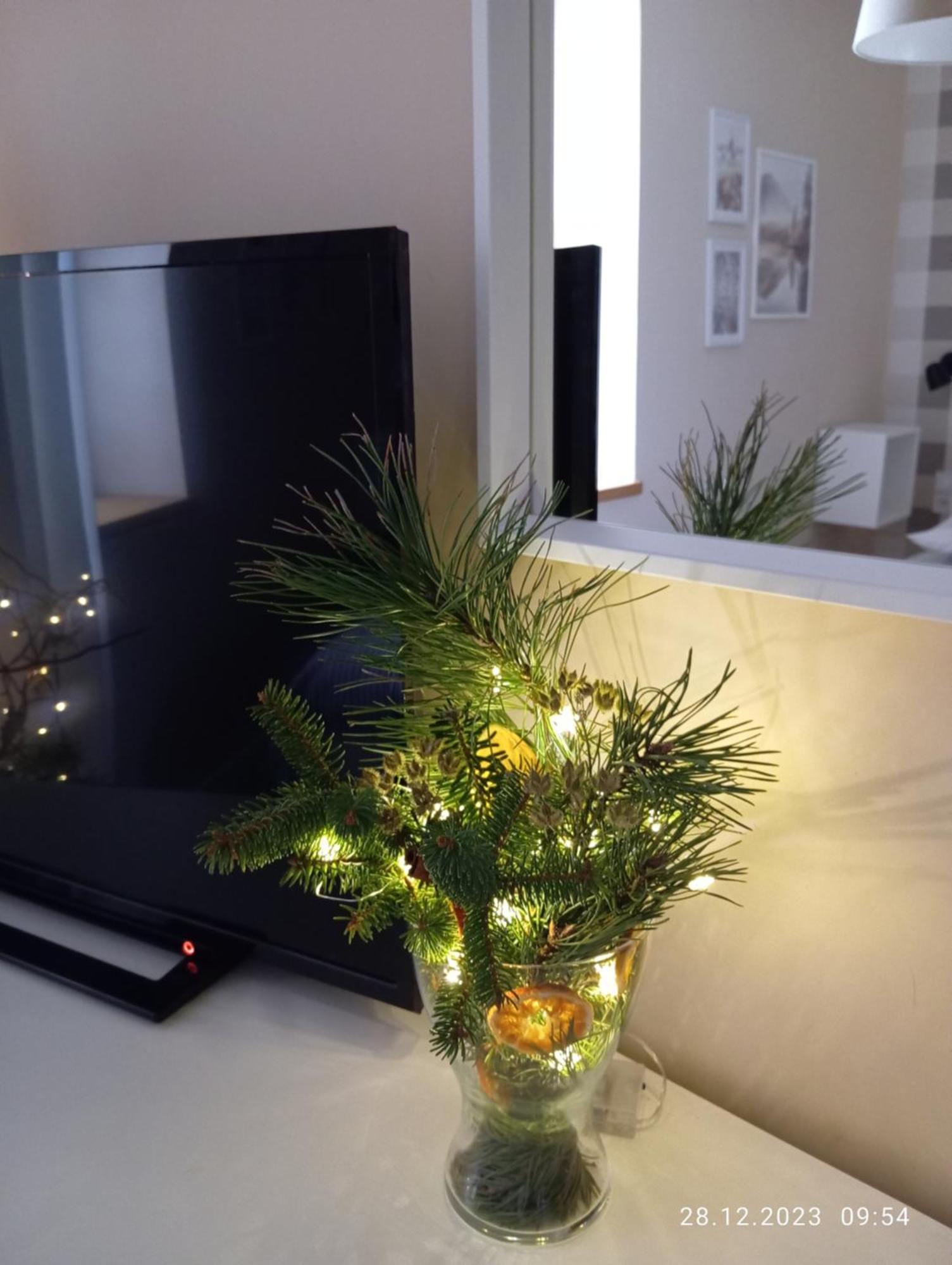 Przytulne Studio Borowkowy Zagajnik Piechowice  Bagian luar foto